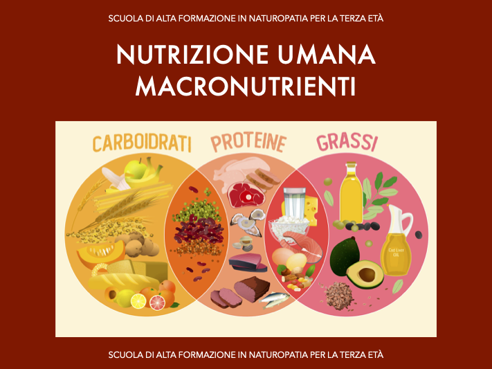 Nutrizione umana 1