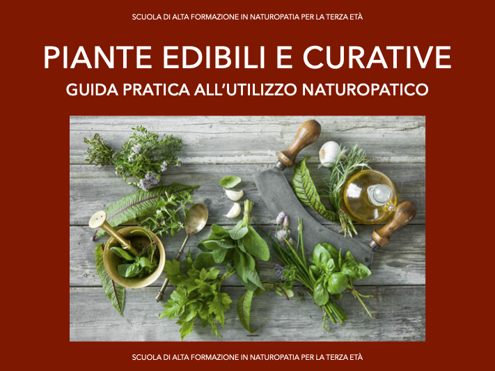 Piante edibili e curative