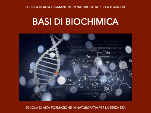 Basi di biochimica