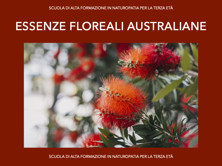 Fiori australiani