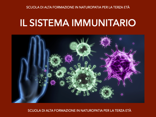 Sistema immunitario