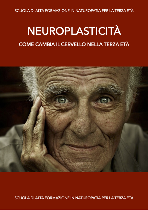 Neuroplasticità